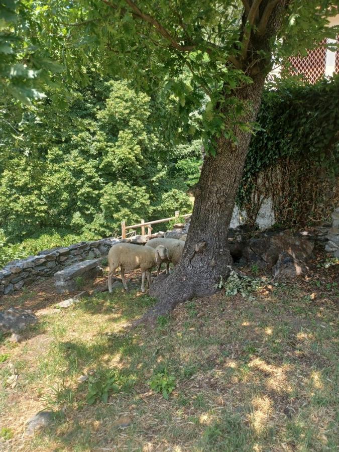 Open Cascina Villa Colico Exterior photo